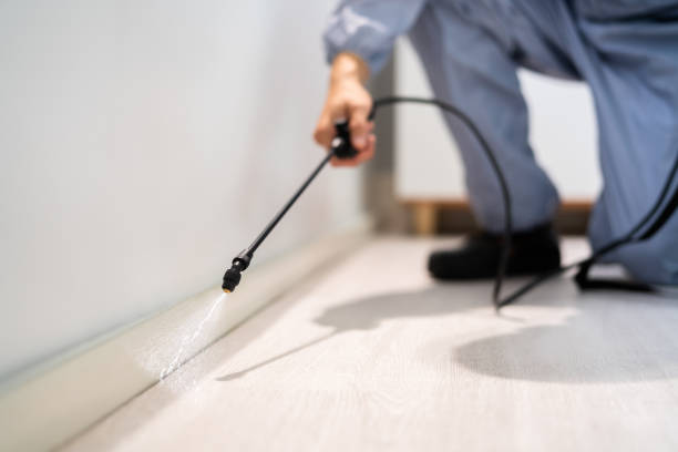Rodent Entry Point Assessment in Westchase