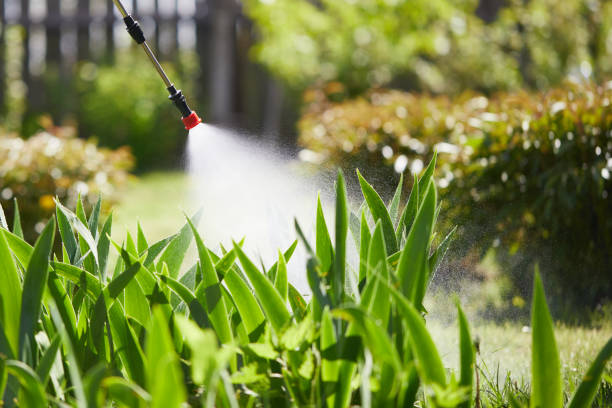 Tamper-Resistant Bait Stations for Rodents in Westchase