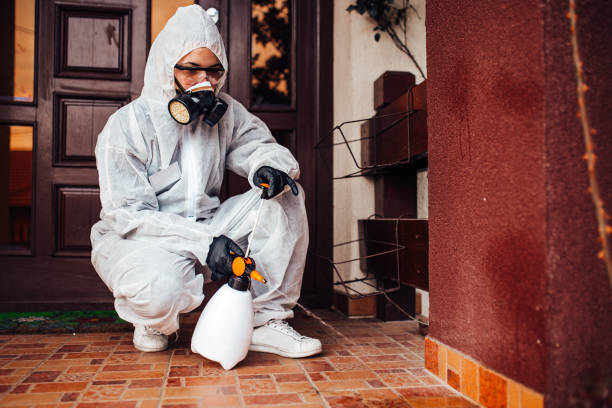 Attic and Crawl Space Rodent Treatment in Westchase